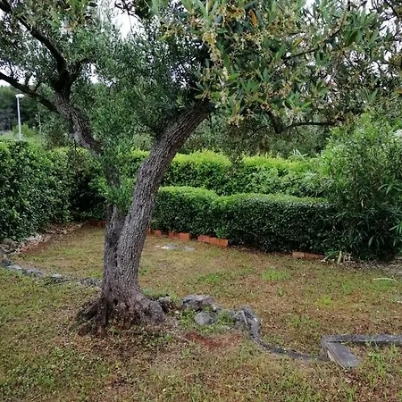 House With Wifi Supetar, Brac - 12323 Hébergement de vacances